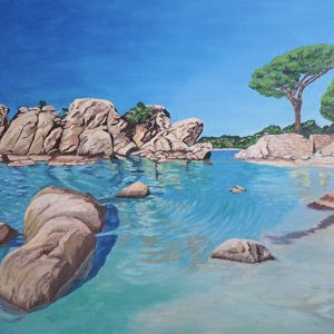 Marine Clarity in Corsica