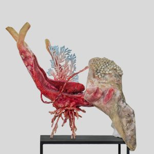 Ricerca di un nuovo spazio "Livorno 1888"